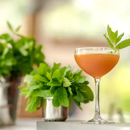 ホテル Natura Luxury Beachfront